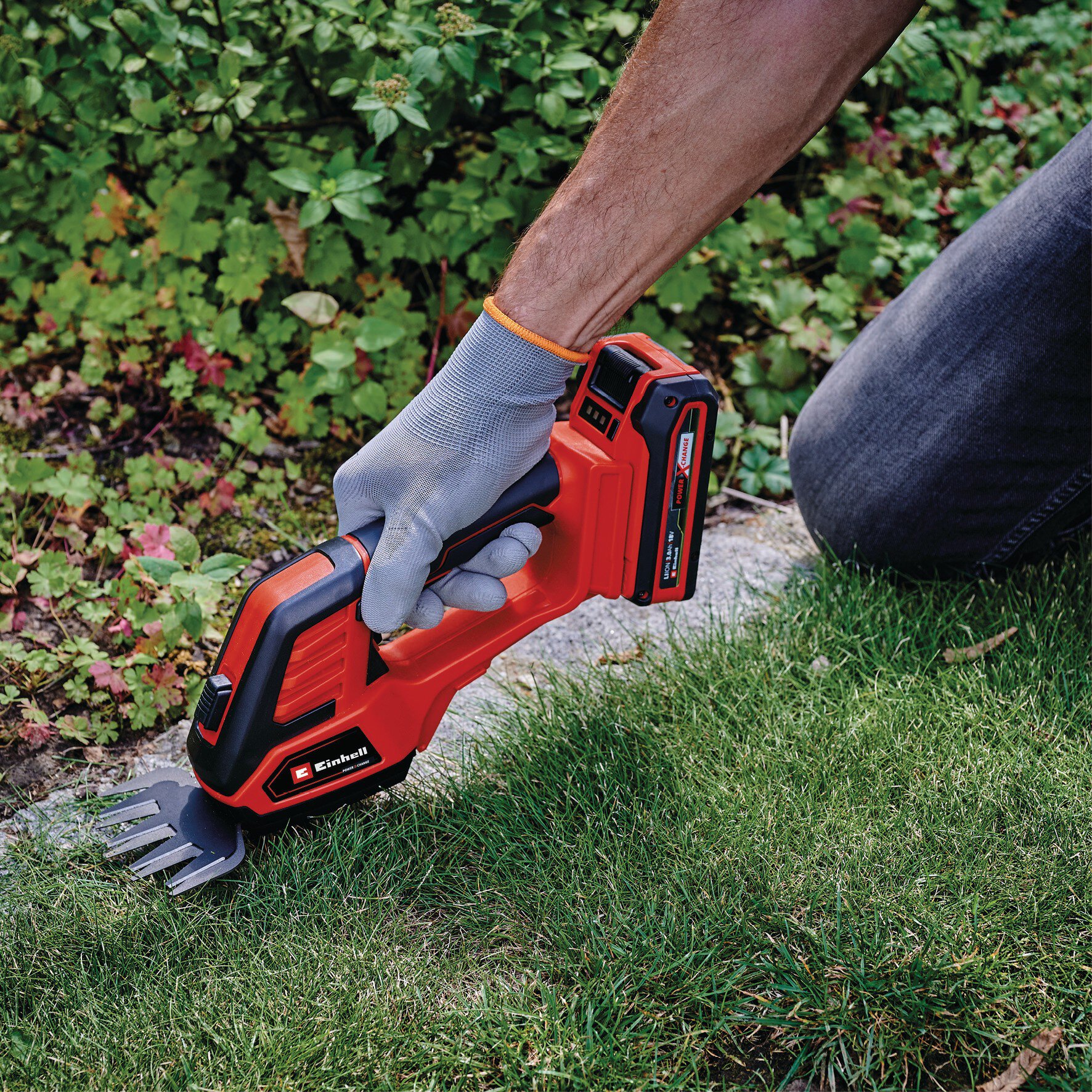 einhell-expert-cordless-grass-and-bush-shear-3410313-example_usage-001