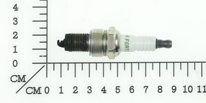 sparkplug
