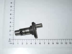 Exzenterwelle