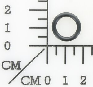 O-Ring