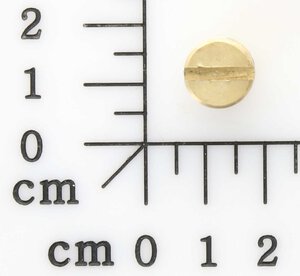 Entlüftungsschraube