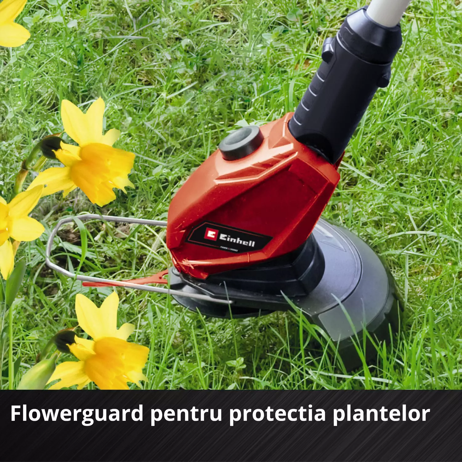 einhell-expert-cordless-lawn-trimmer-3411219-detail_image-006