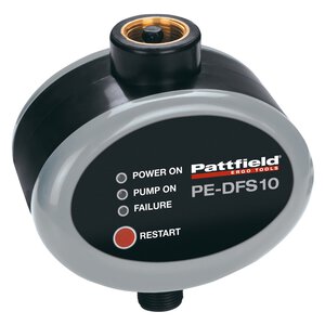 PE-DFS 10