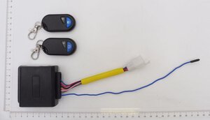 Fernbedienung 2x mit Empfanger