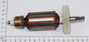 armature 