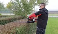 einhell-classic-petrol-hedge-trimmer-3403850-example_usage-001