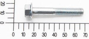screw bolt