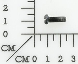 Screw M5X13(left)