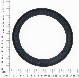 Sealing Ring