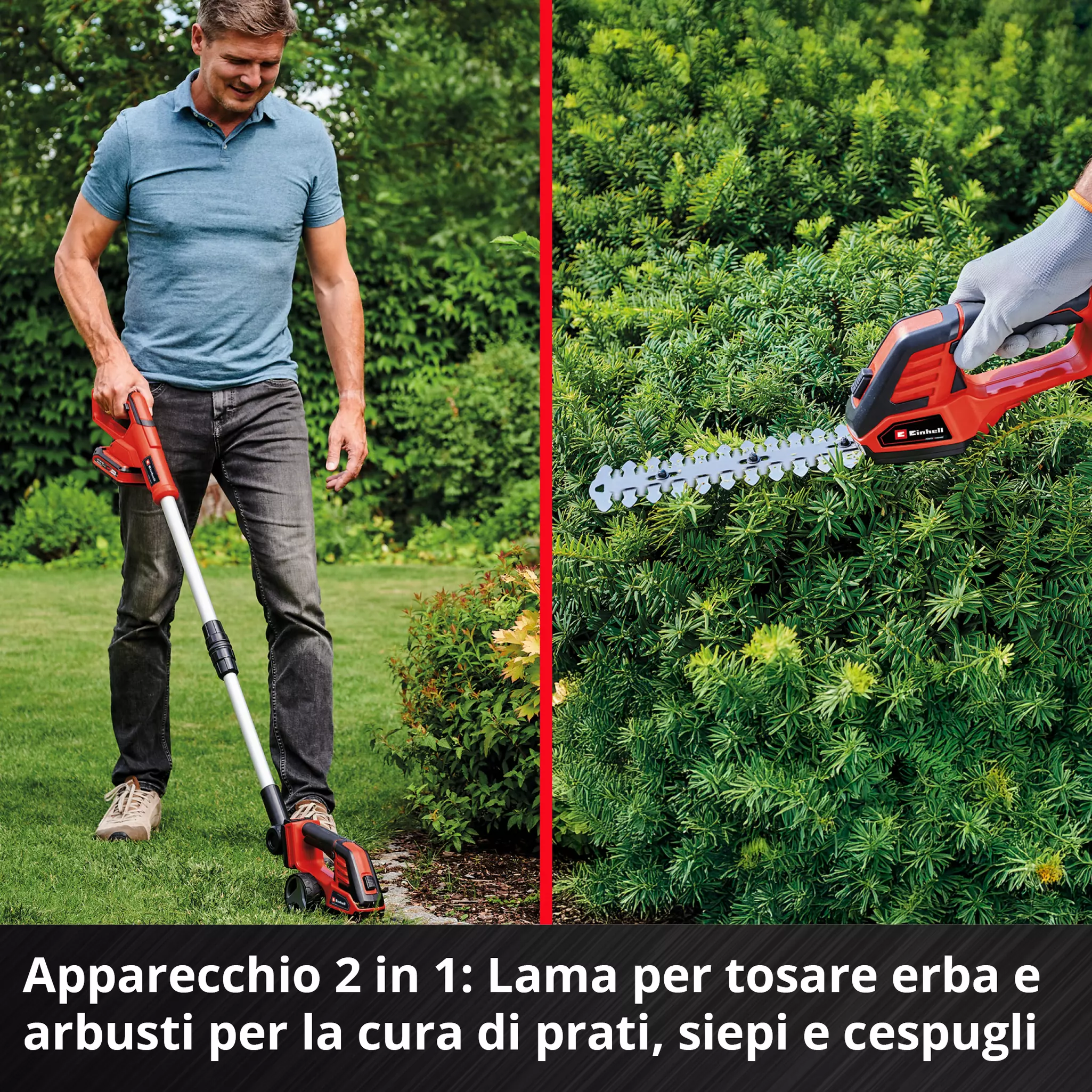 einhell-expert-cordless-grass-and-bush-shear-3410316-detail_image-002