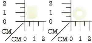 SPONG-CARBURETOR