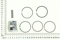 Kolben