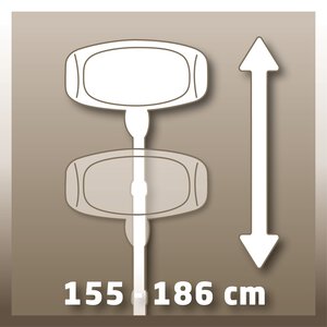 IHS 2000/1