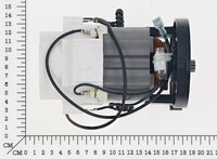 pump assy. (ARG)