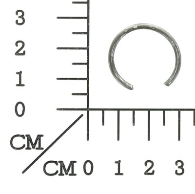 Sicherungsring