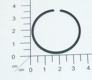 Piston ring