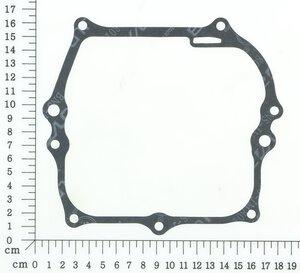 Crankcase gasket