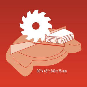 TH-SM 2534 Dual; EX; ARG