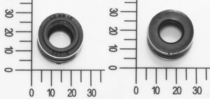 mechanical seal