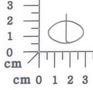 Radsicherung