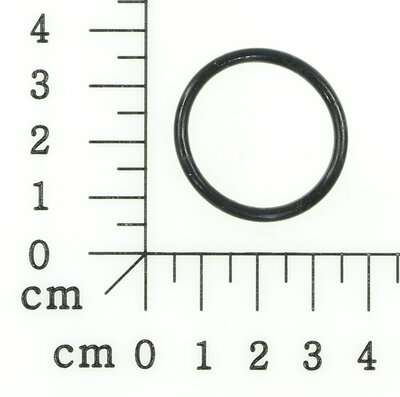 O-Ring