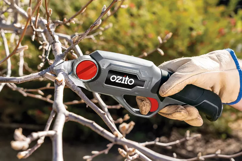 Cordless pruning shears bunnings sale