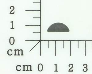 Scheibenfeder