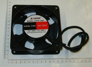 Fan