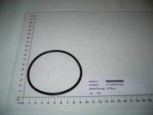 O-Ring