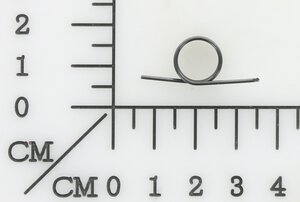 locking plate torsion Spring