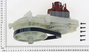 Motor