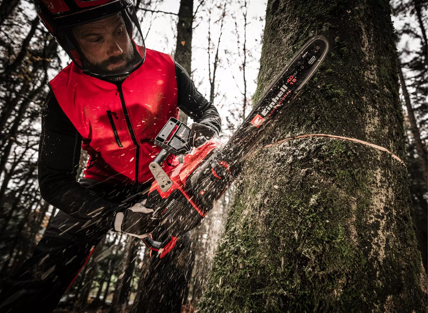 einhell-professional-cordless-chain-saw-4600055-example_usage-001