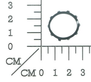 Sternscheibe