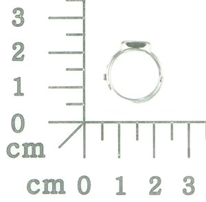 hose clip