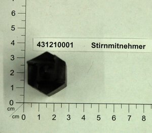 Stirnmitnehmer