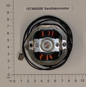 fan-motor