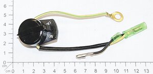 Engine Switch