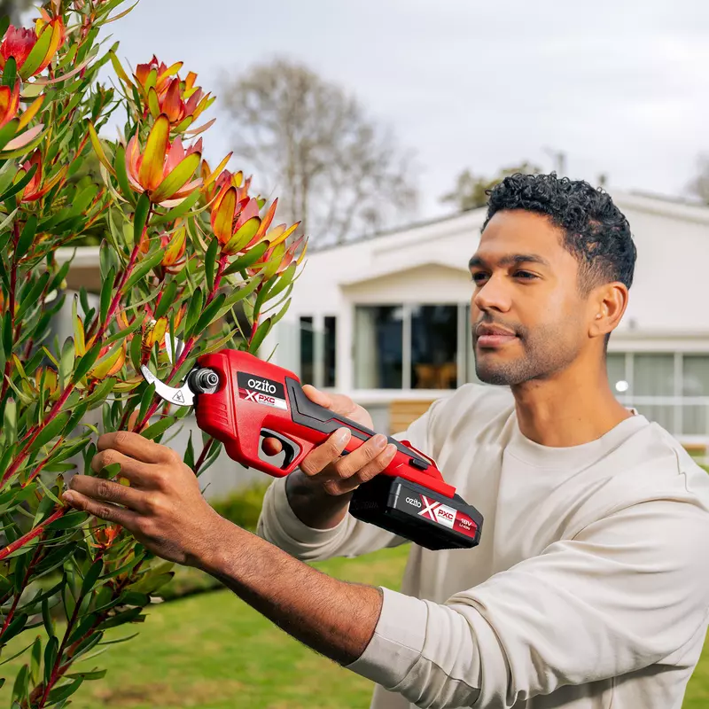 ozito-cordless-pruning-shears-3001249-example_usage-102