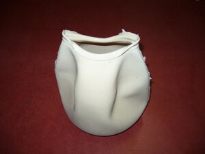 membrane