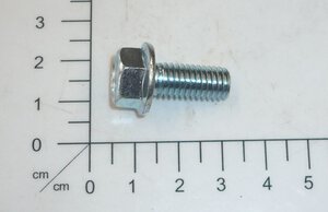 bolt M8x18