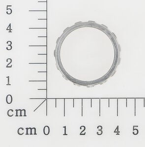 fixed ring