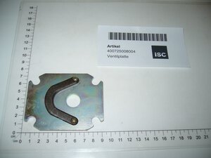 Valve Plate 