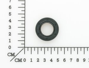 Oil seal