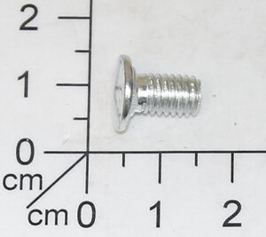 Square Neck Screw