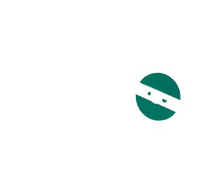 Sprühpistole
