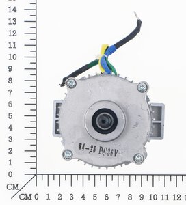 Brushless Motor Assembly