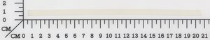 glue sticks