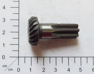 Ritzel