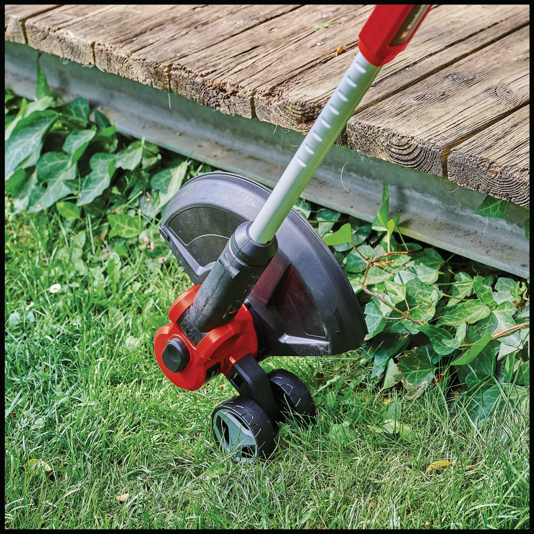 einhell-expert-cordless-lawn-trimmer-3411250-detail_image-004