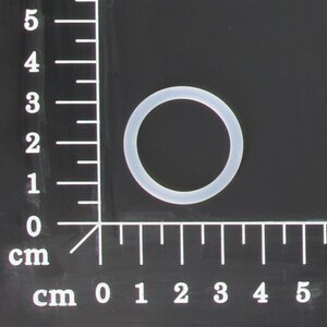 o-ring